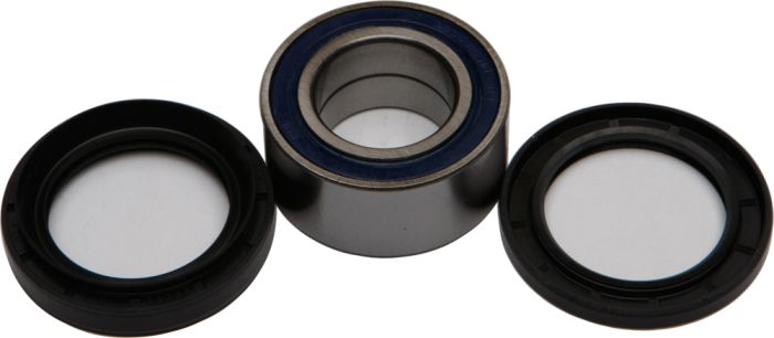 All Balls Wheel Bearing Kit  Acid Concrete