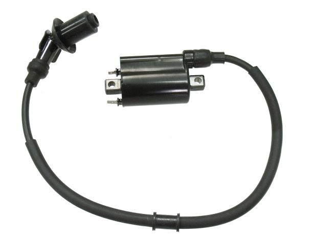 Bronco Atv Ignition Coil  Acid Concrete