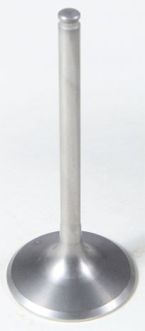 Kpmi Intake Ti Valve  Acid Concrete