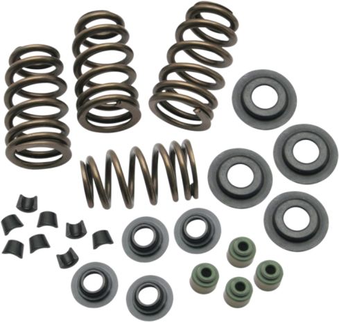 Rocket Cams Beehive Conversion Spring Kit Evo Bt 84-03 .650 Lift  Acid Concrete