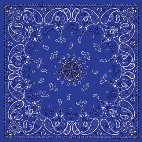 Zan Bandanna Navy Paisley  Alpine White