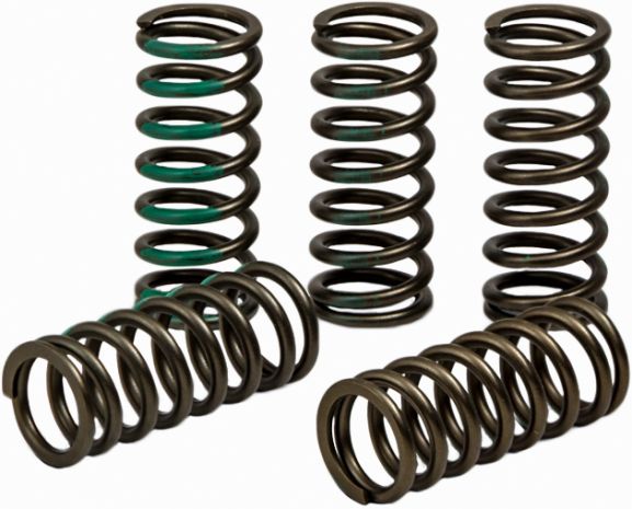 Pro Circuit High Performance Clutch Springs  Acid Concrete