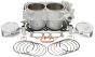 Cylinder Works Cylinder Kit Bb 98.00/+5.0 10.5:1 Polaris  Acid Concrete