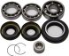 All Balls Front Differential Bearing And Seal Kit  Black/1/4" ID