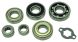 Hot Rods Transmission Bearing Kit  Acid Concrete